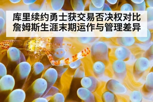 库里续约勇士获交易否决权对比詹姆斯生涯末期运作与管理差异