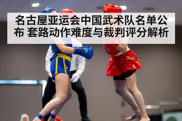 wushu martial arts performance