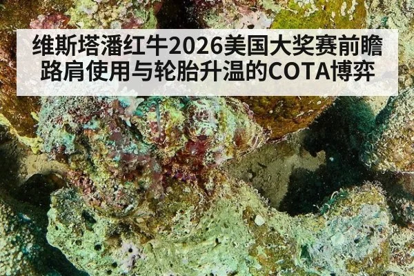 维斯塔潘红牛2026美国大奖赛前瞻 路肩使用与轮胎升温的COTA博弈